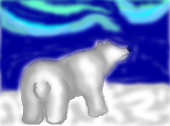 Urs polar