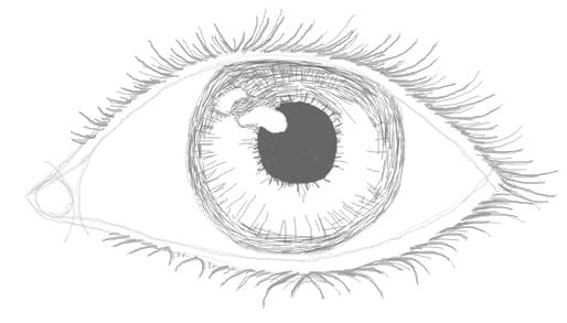 Eyelashes on an eye by Brenda H.