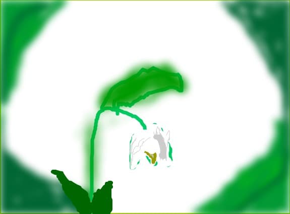 florin