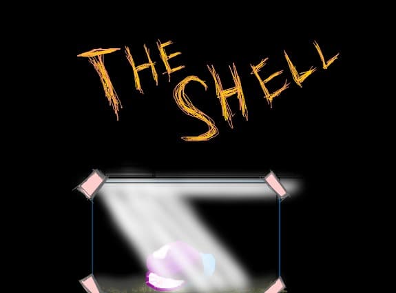 The Shell