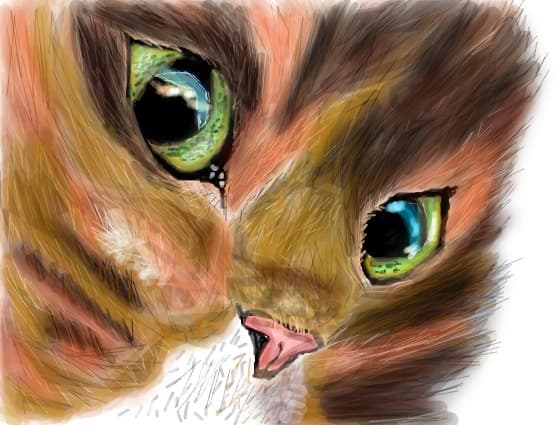 miau