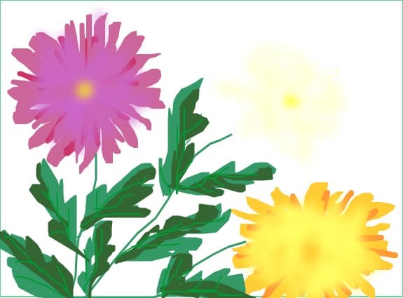 buchet de crizanteme