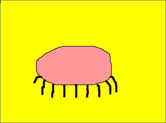 OCHI