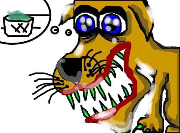 dog