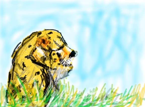 un pui de ghepard flamand