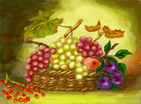 fructe