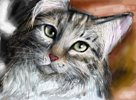 Norwegian forest cat