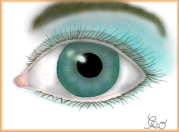 the green eye
