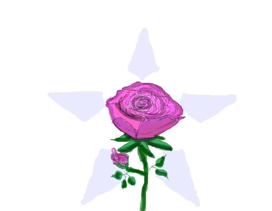 Desen 5004 modificat:rose2
