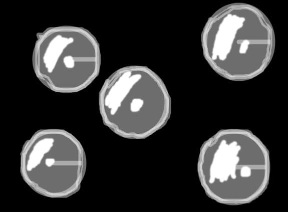 balonase
