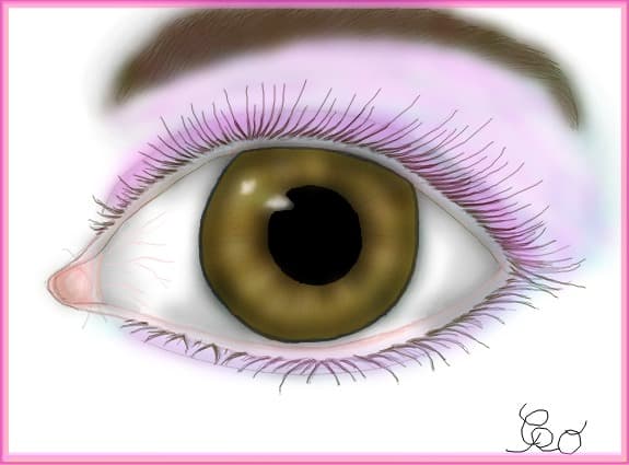 the brown eye