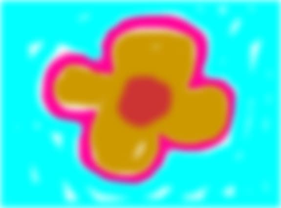 flori