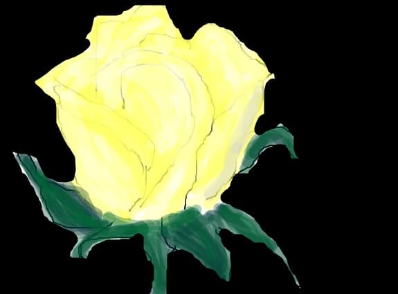 ...rose...