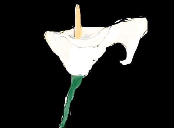 ...flower...