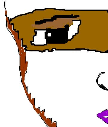 Desen 2677 modificat:florincas