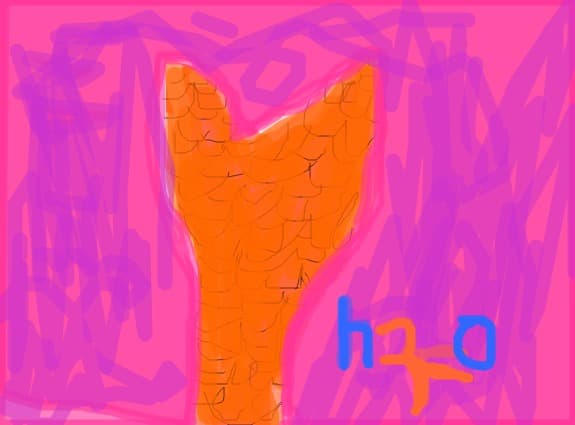 H2O
