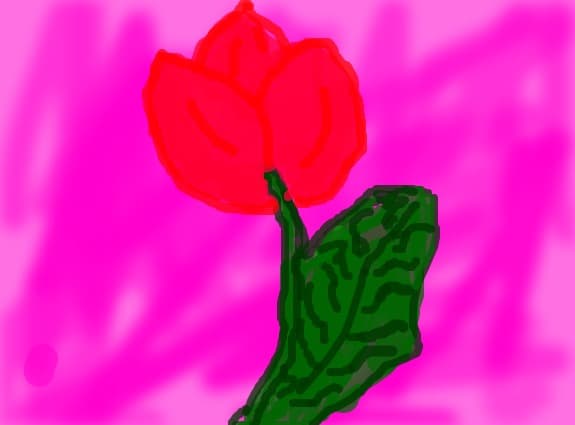 Fantasy Tulip