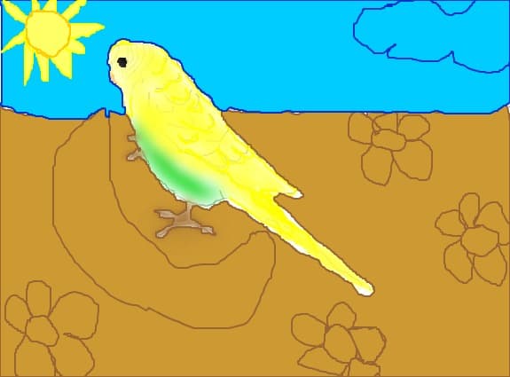 dodo