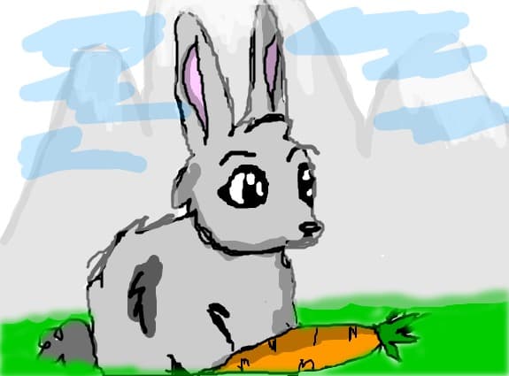 a bunny
