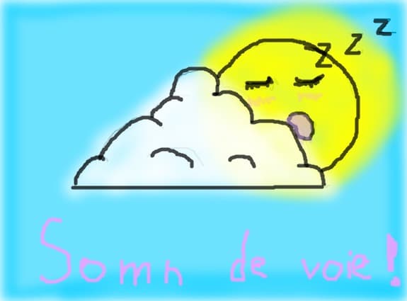 Somn de voie!