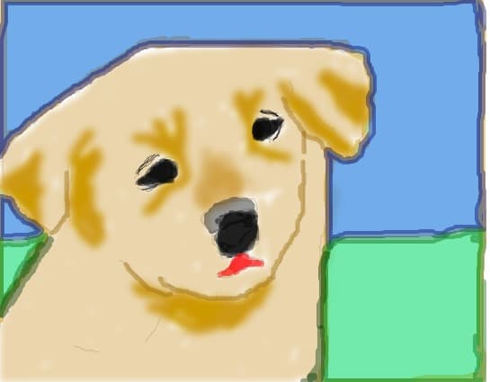 Ilove the dogs