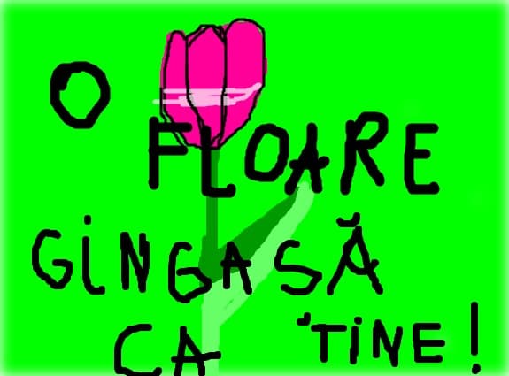 O FLOARE GINGASA CA TINE!