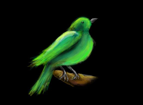 green bird