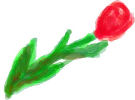 floare rosie