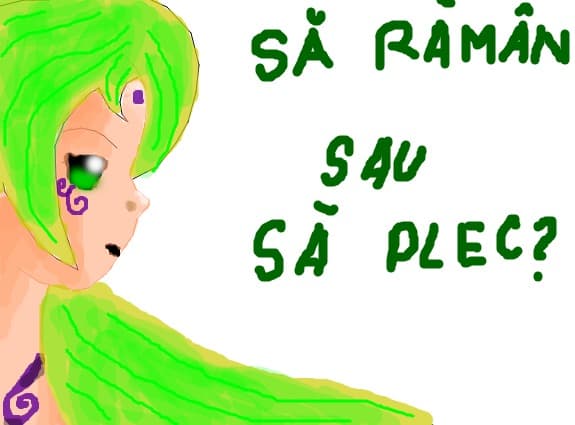 sa raman sau sa plec?