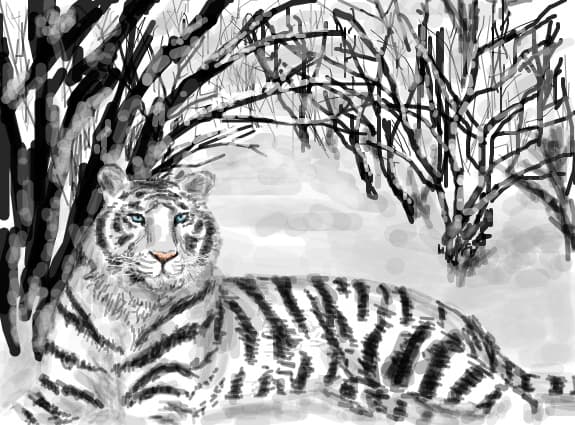 camuflaj..