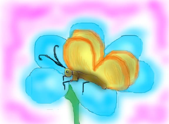 butterfly