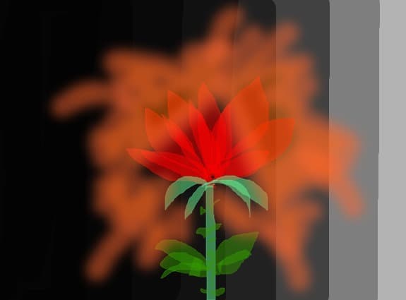 rose