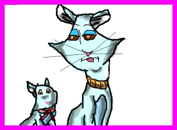 ...cats...