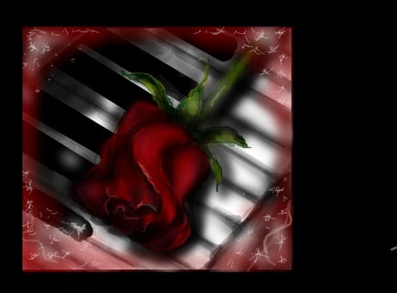 piano and the rose...
