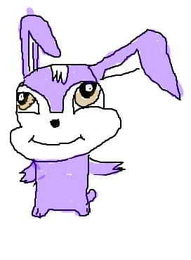 kuki