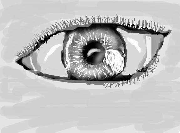 eye