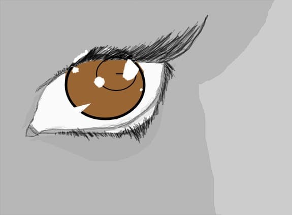 ochi