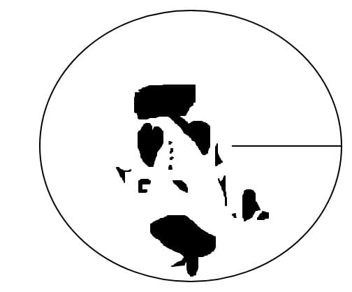 ILUZIE OPTICA