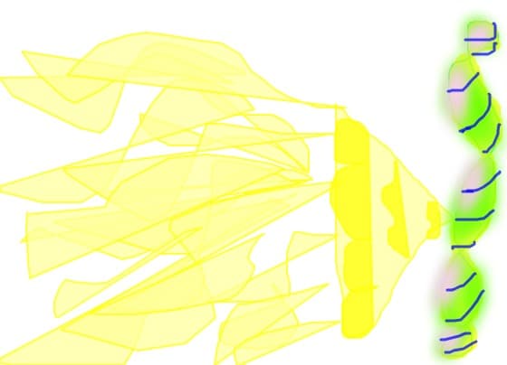 Fantasy Butterfly