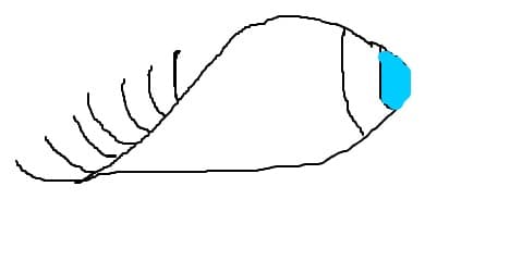 ochiul