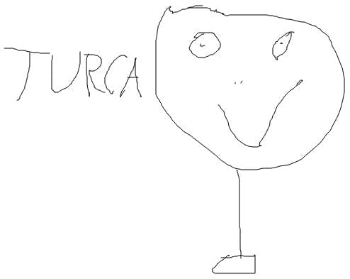 Turcitu