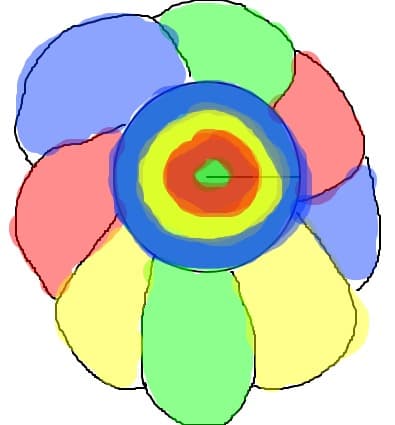 flower multi colors