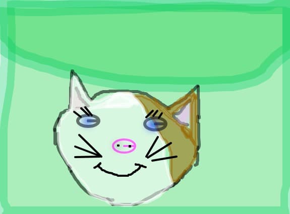 pisica