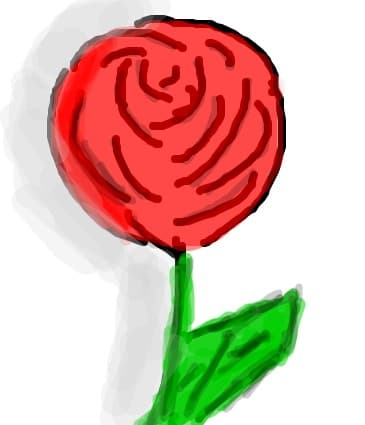 un trandafir