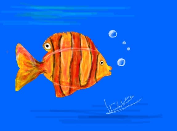 fish