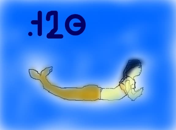 H2O