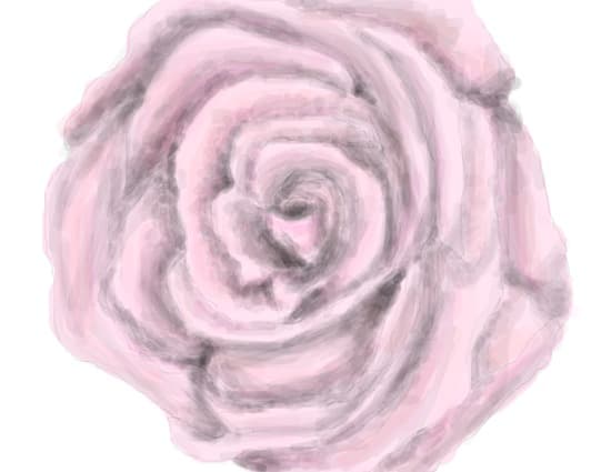 rose