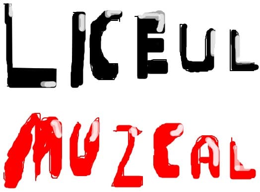 liceul muzical