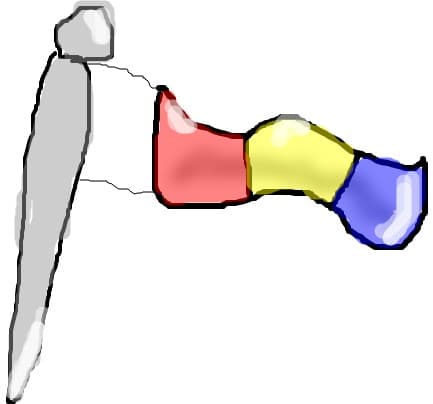 steagul romaniei