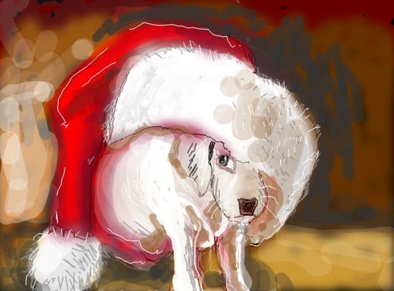 christmas dog